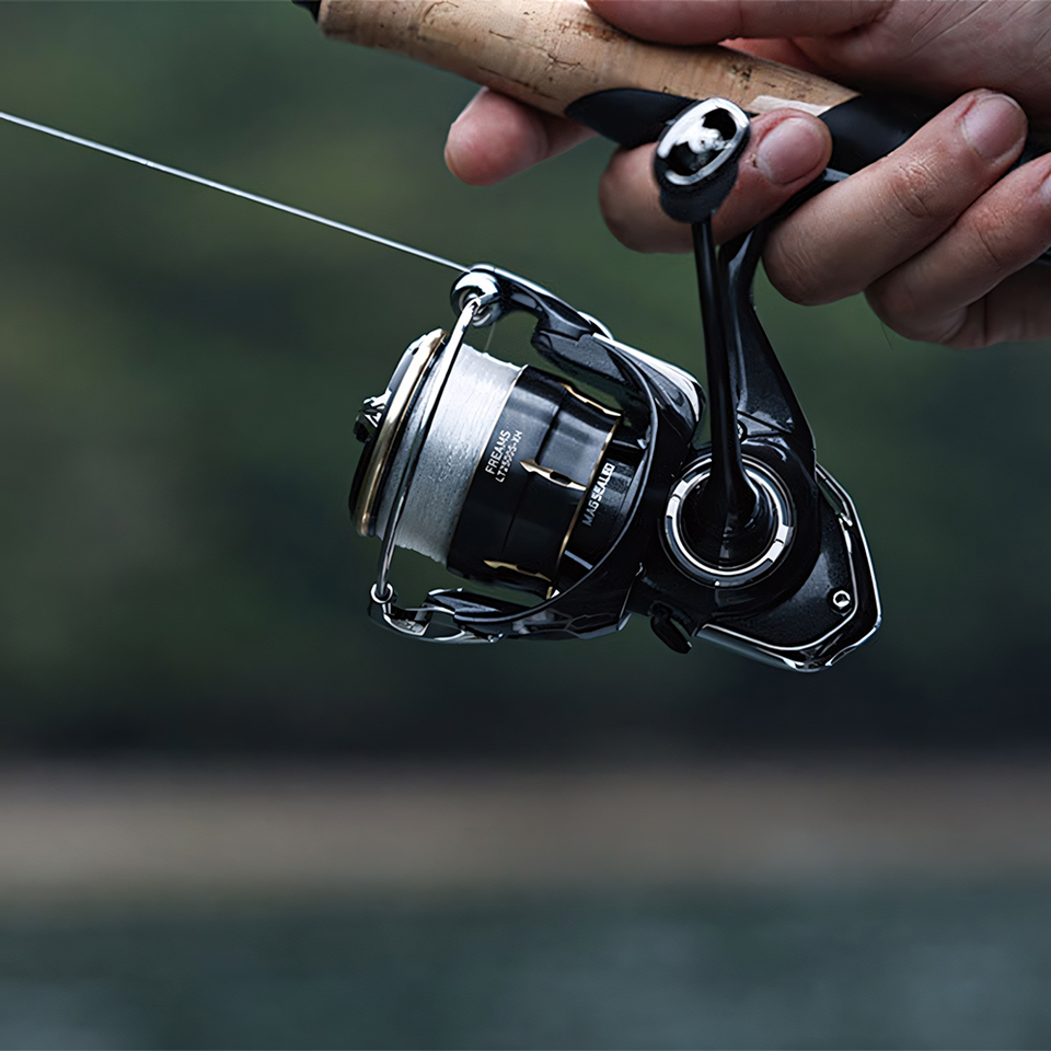 ダイワ 2026 フリームズ スピニングリール、淡水・海水両 - Shimano Reel Stradic のレビューと価格