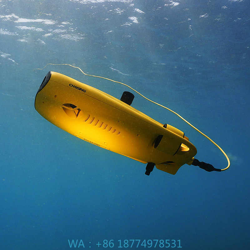 アルヴァージュ 救助装備 水泳可能 ダイビングギア アクセサ - Fish Finder Gps のレビューと価格